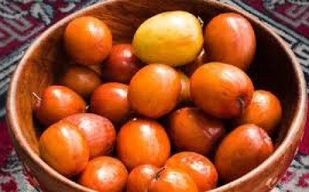 రేగుపండ్లు అంటే ఇష్టమా? - వీటిని తింటే శరీరంలో ఏం జరుగుతుందో తెలుసా?