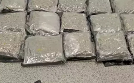 శంషాబాద్‌ ఎయిర్‌పోర్టులో రూ.14 కోట్ల విలువైన గంజాయి పట్టివేత