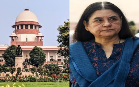 మేనకా గాంధీపై సుప్రీంకోర్టు ఆగ్రహం- 'వీధి కుక్కల విషయంలో ఆమె వ్యాఖ్యలు కోర్టు ధిక్కరణే'