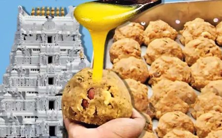 భోలే బాబా సంస్థ పేరు మార్పులో మతలబు - భారీ నెయ్యి మోసానికి అదే కారణం