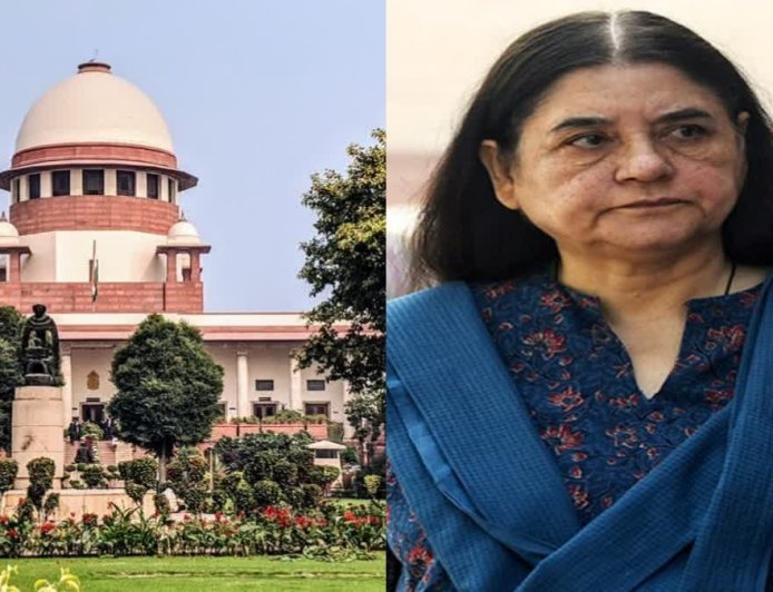 మేనకా గాంధీపై సుప్రీంకోర్టు ఆగ్రహం- 'వీధి కుక్కల విషయంలో ఆమె వ్యాఖ్యలు కోర్టు ధిక్కరణే'
