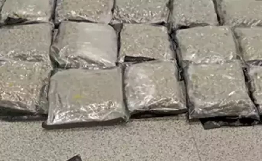 శంషాబాద్‌ ఎయిర్‌పోర్టులో రూ.14 కోట్ల విలువైన గంజాయి పట్టివేత