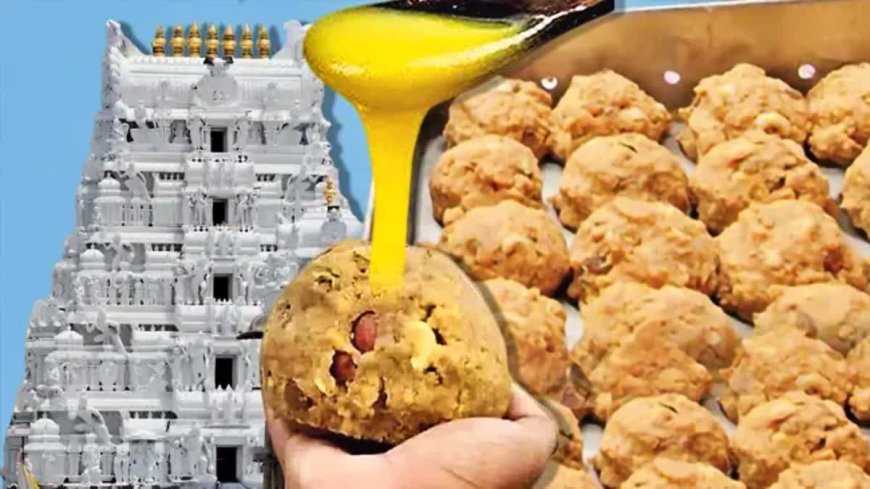 భోలే బాబా సంస్థ పేరు మార్పులో మతలబు - భారీ నెయ్యి మోసానికి అదే కారణం