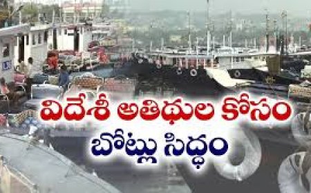 విదేశీ అతిథుల కోసం 100 బోట్లు సిద్ధం